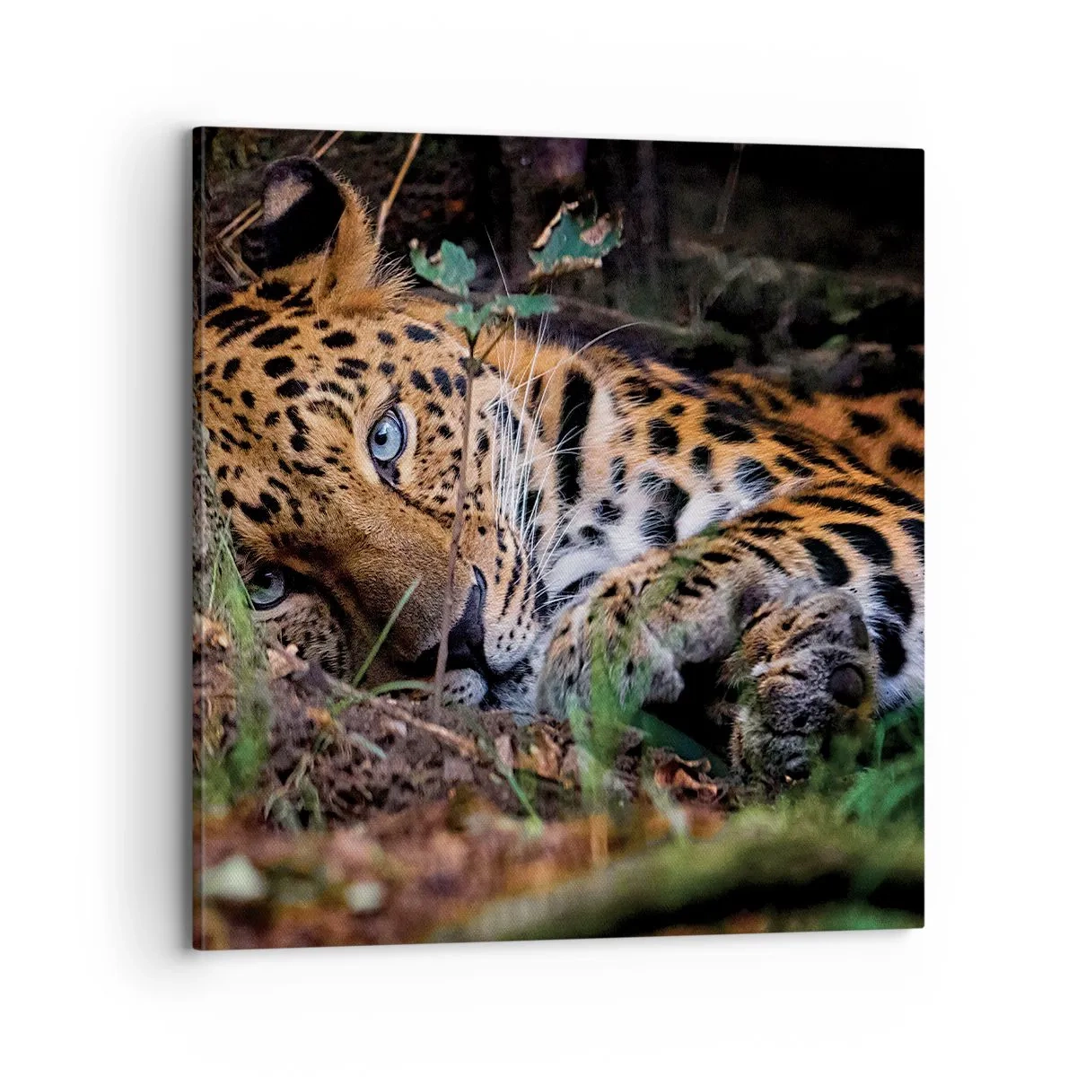 Obraz na plátně - Věř mi - 70x70 cm