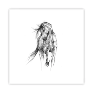 Plakát - V ladném klusu - 30x30 cm