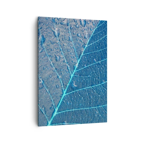 Obraz na plátně - Život v modři - 50x70 cm