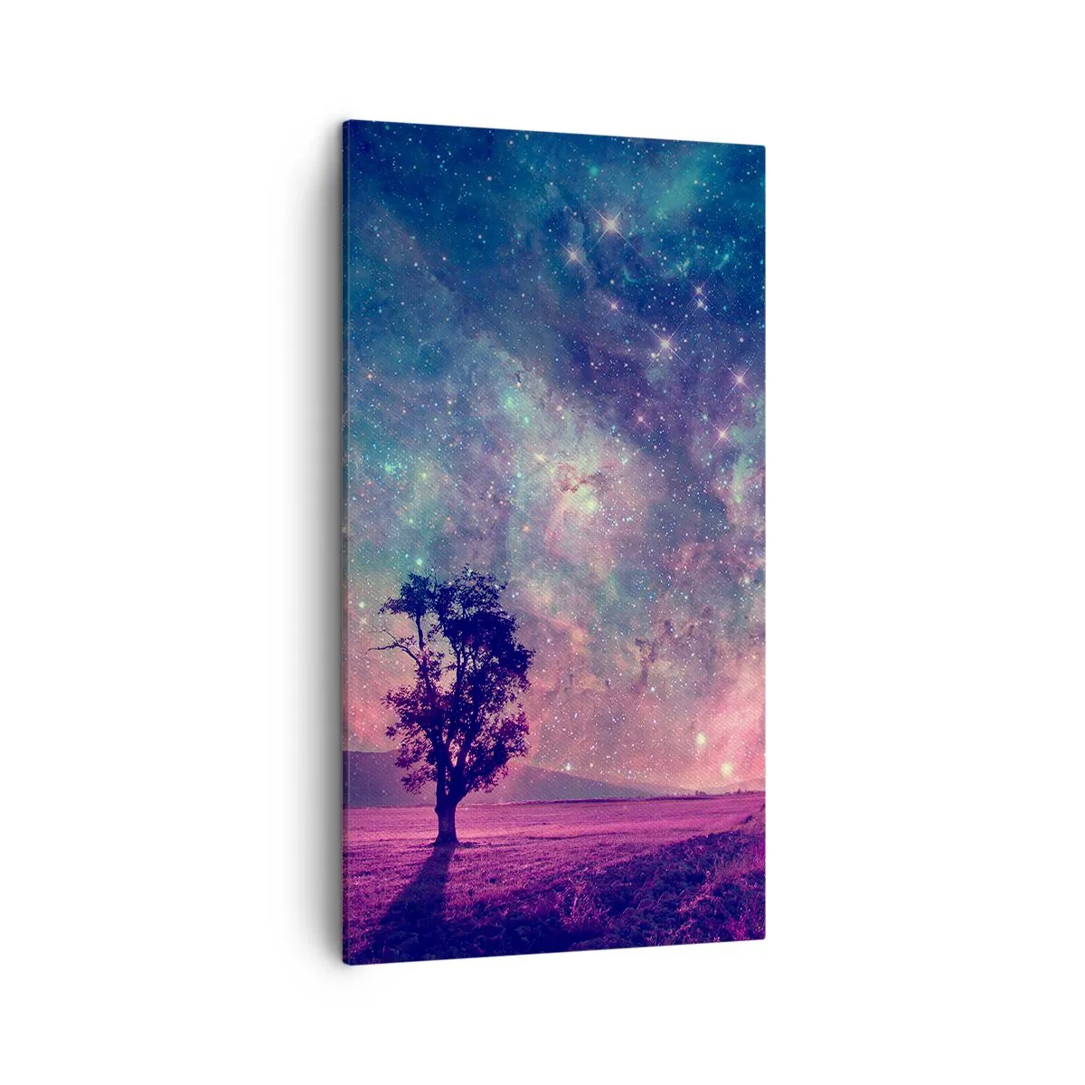 Obraz na plátně - Pod magickou oblohou - 45x80 cm
