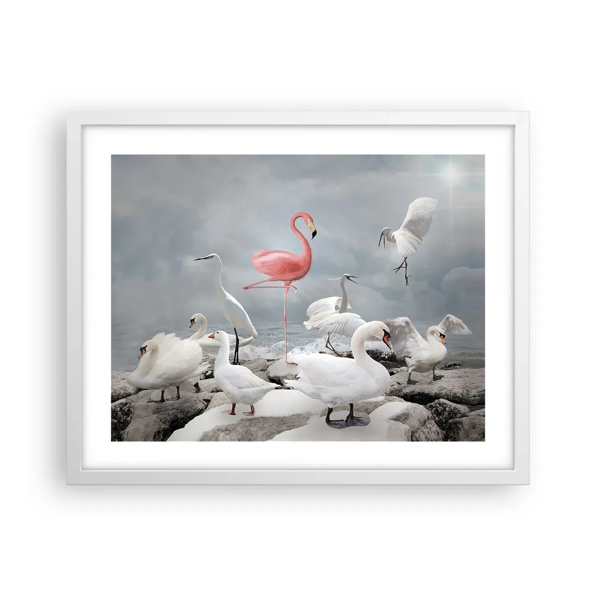 Plakát v bílém rámu - Kde jsem se tu vzal? - 50x40 cm