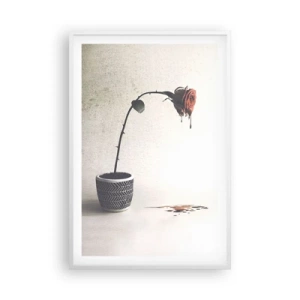 Plakát v bílém rámu - Rosa dolorosa - 61x91 cm