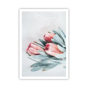 Plakát - Zahanbené svou vlastní krásou - 70x100 cm