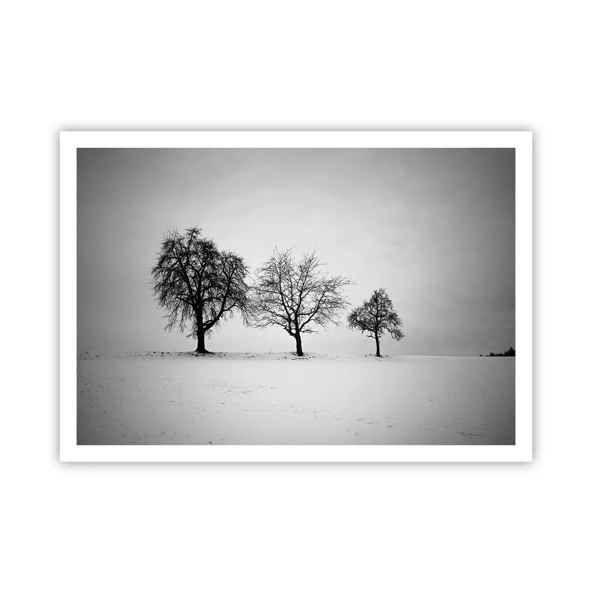 Plakát - O čem sní? - 100x70 cm