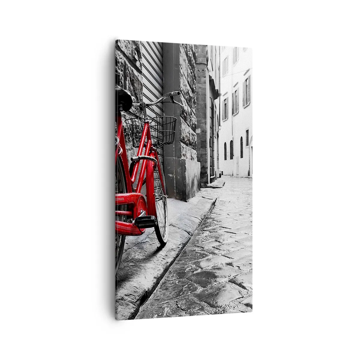 Obraz na plátně - Skutečná krása nestárne - 55x100 cm