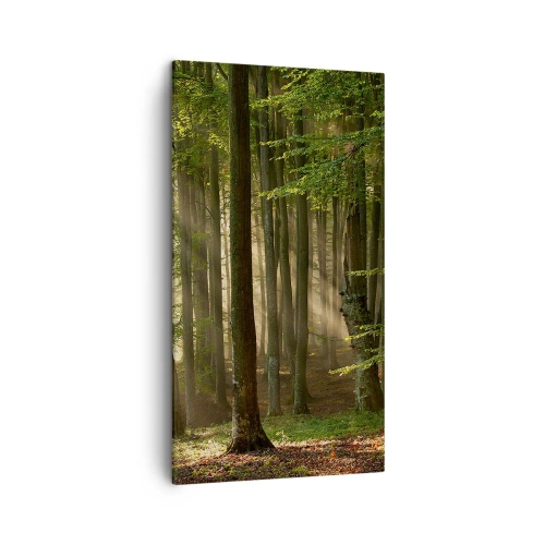 Obraz na plátně - Rozzářený v jarním ránu - 45x80 cm