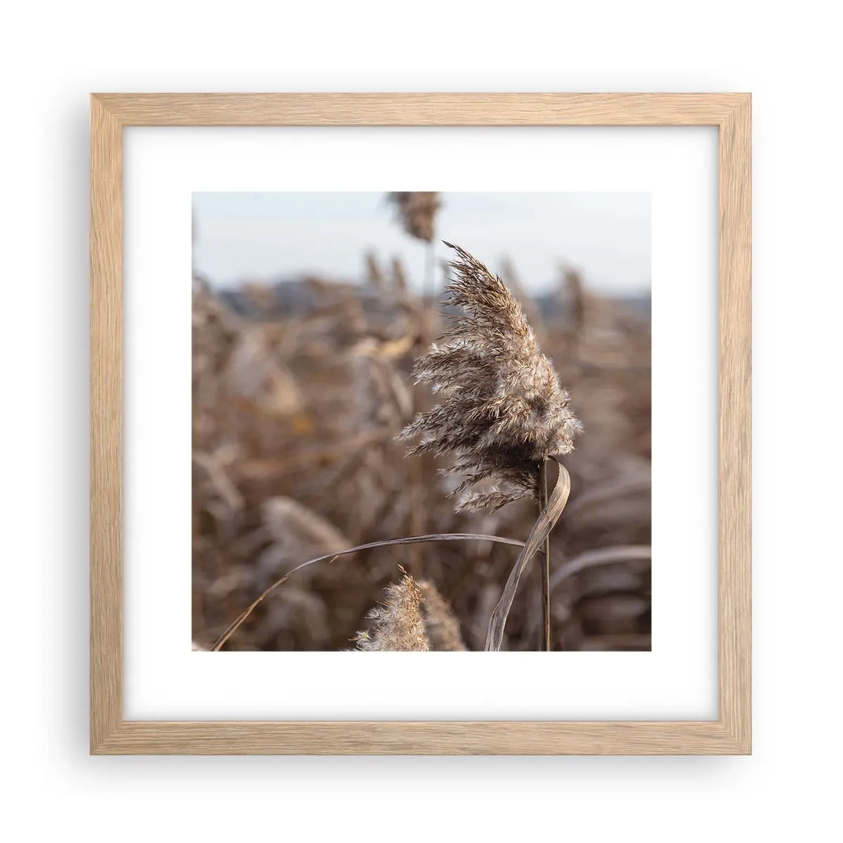 Plakát v rámu světlý dub - Čas odletět s větrem - 30x30 cm