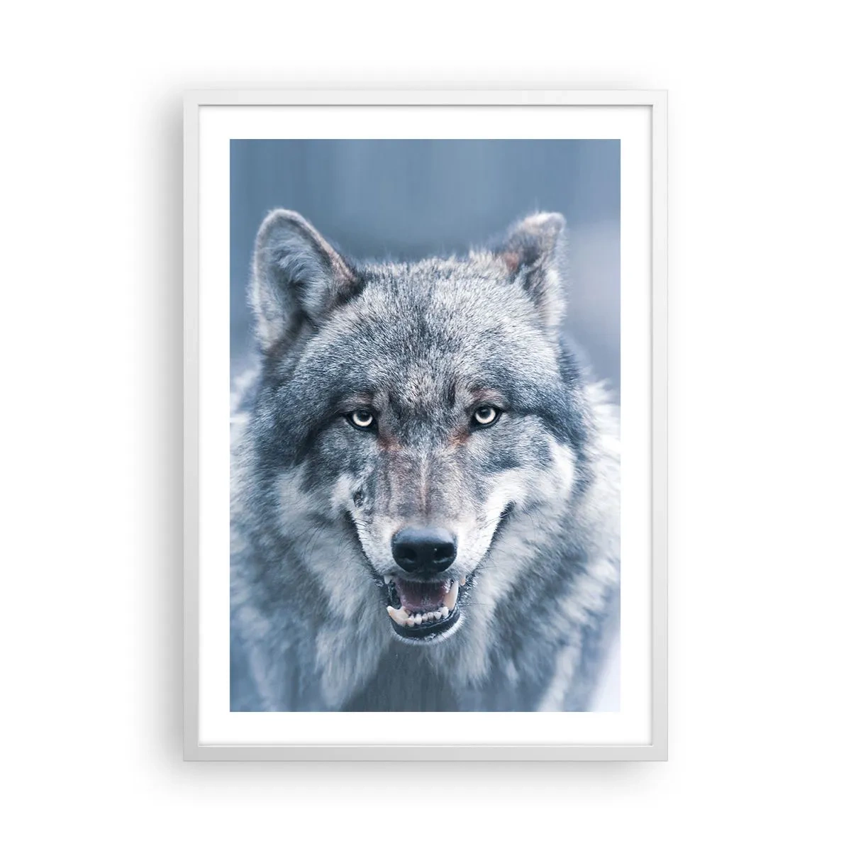 Plakát v bílém rámu - Přijmete tuto výzvu? - 50x70 cm