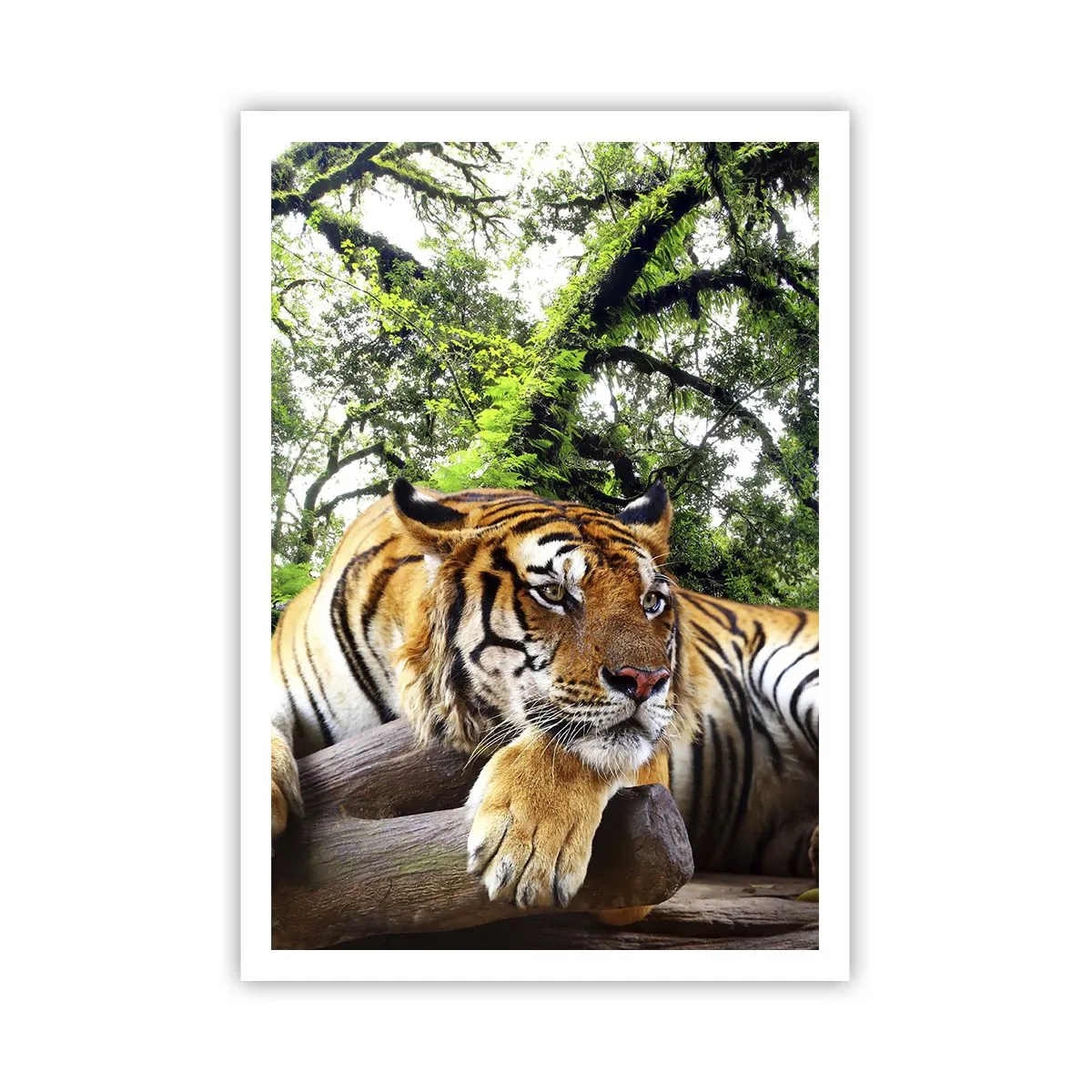 Plakát - S úctou - 70x100 cm