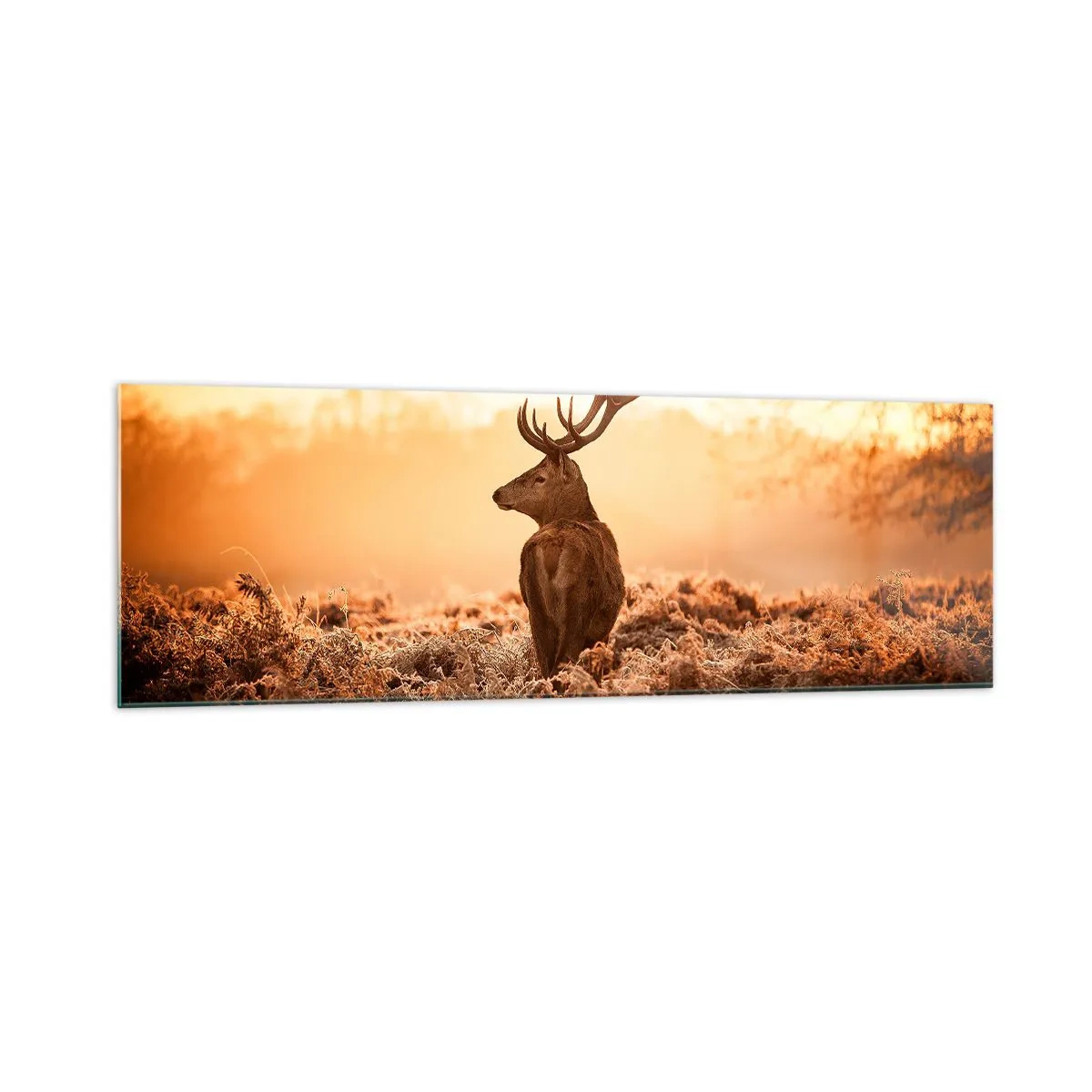 Obraz na skle - Pán na panství - 160x50 cm