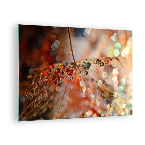 Obraz na skle - Kapky vody na jemné pavučině v bokeh světle - 70x50cm - Navlečeno na pavučinu - Moderní nástěnná dekorace do obývacího pokoje a ložnice ARTTOR