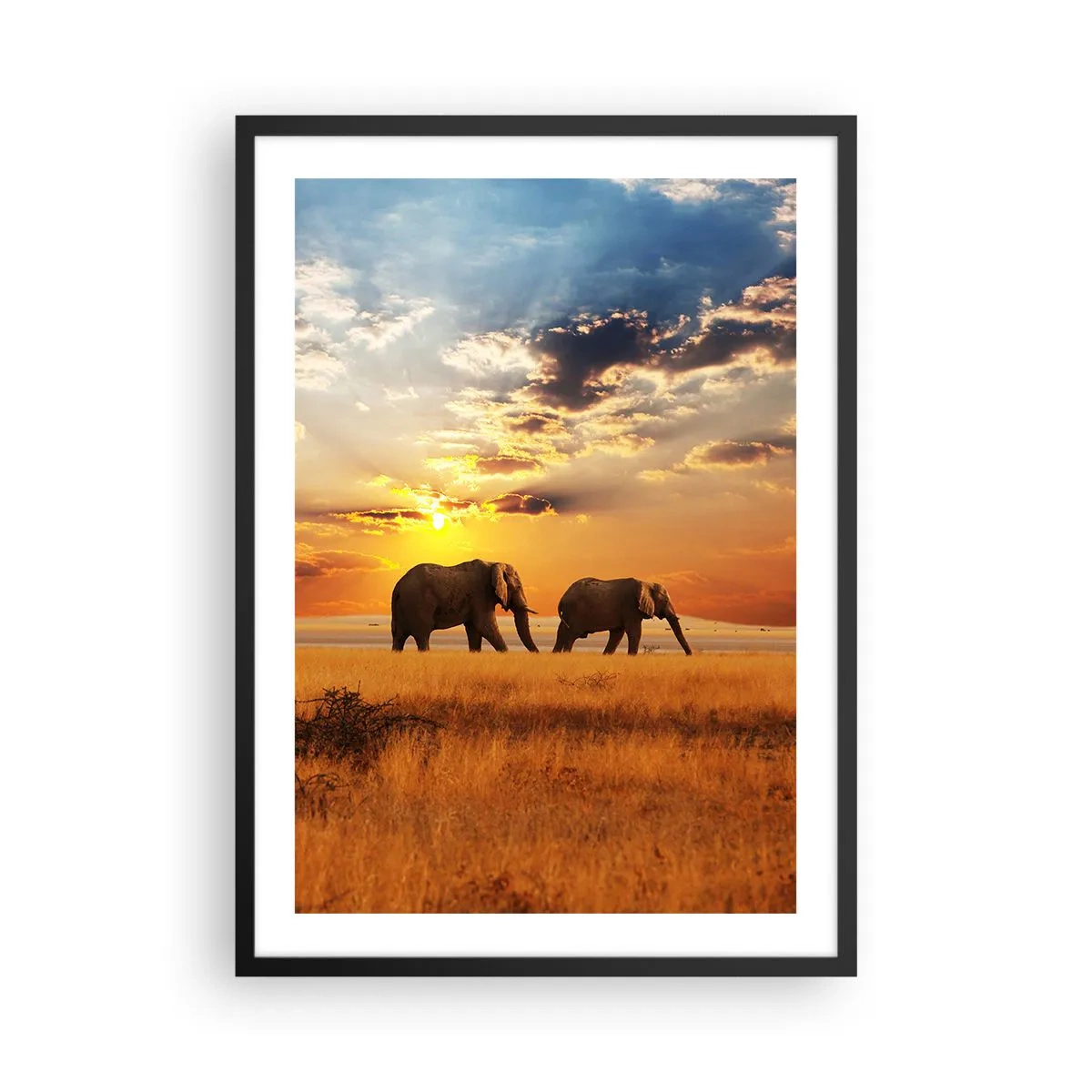 Plakát v černém rámu - Sloni kráčející v záři zapadajícího slunce - 50x70cm - Rodinná procházka - Moderní nástěnná dekorace do obývacího pokoje a ložnice ARTTOR