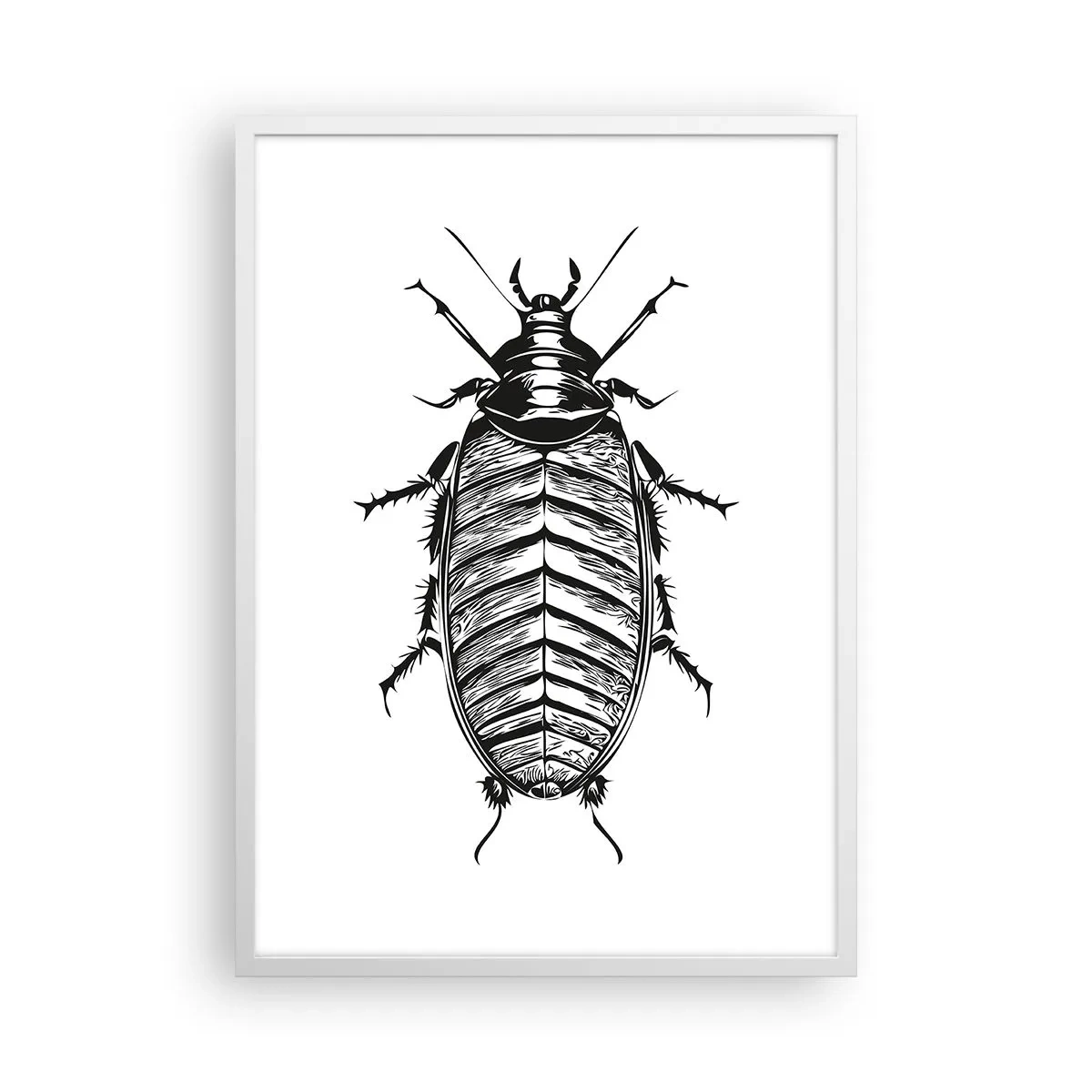 Plakát v bílém rámu - Vzorový exemplář! - 50x70 cm