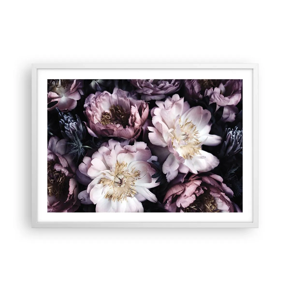 Plakát v bílém rámu - Kytice ve starém stylu - 70x50 cm
