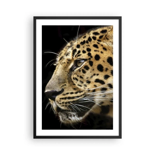 Plakát v černém rámu - Profil leoparda na tmavém pozadí - 50x70cm - Klidný, soustředěný, připravený - Moderní nástěnná dekorace do obývacího pokoje a ložnice ARTTOR