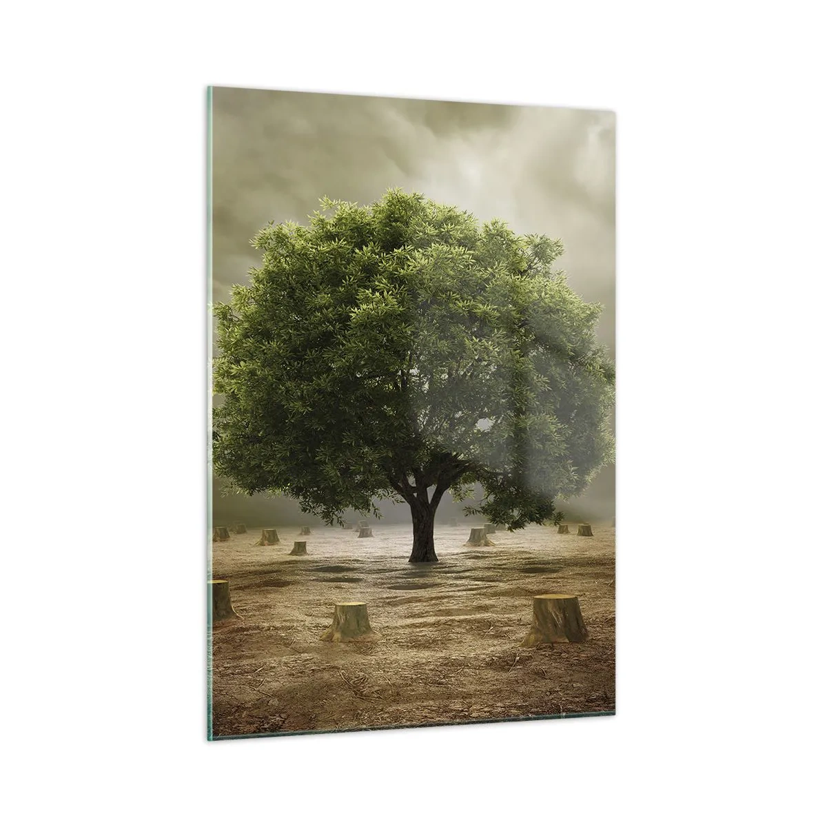 Obraz na skle - Celá naděje - 50x70 cm