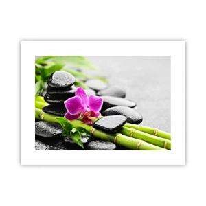 Plakát - V klidné rovnováze - 40x30 cm