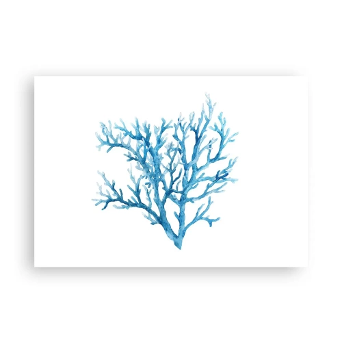 Plakát - Mořský filigrán - 100x70 cm