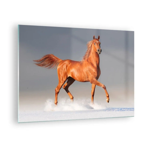 Obraz na skle - Cválající kůň proti jasné obloze - 70x50cm - Tančící elegance - Moderní nástěnná dekorace do obývacího pokoje a ložnice ARTTOR