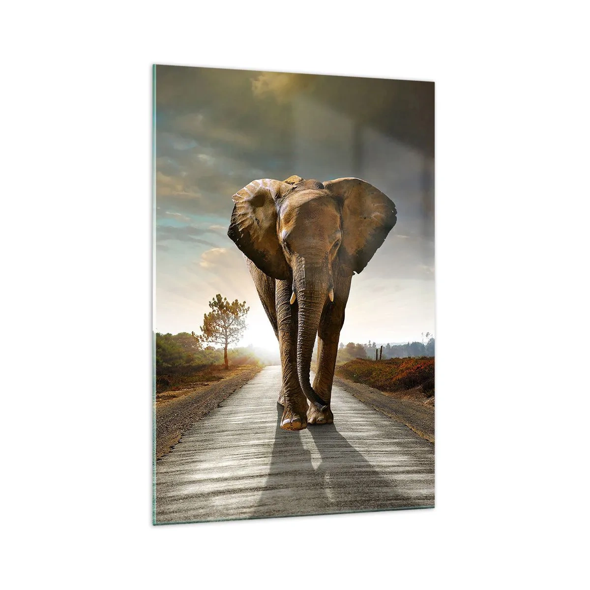 Obraz na skle - A vůbec ne ve skladu porcelánu - 70x100 cm