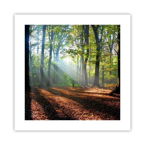 Plakát - Světla a stíny - 40x40 cm