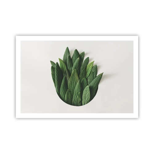 Plakát - Neukojitelná zvědavost - 91x61 cm