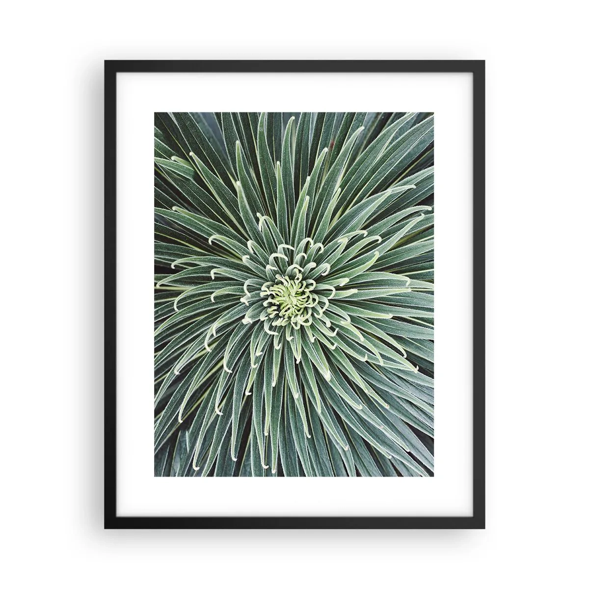 Plakát v černém rámu - Zrození hvězdy - 40x50 cm