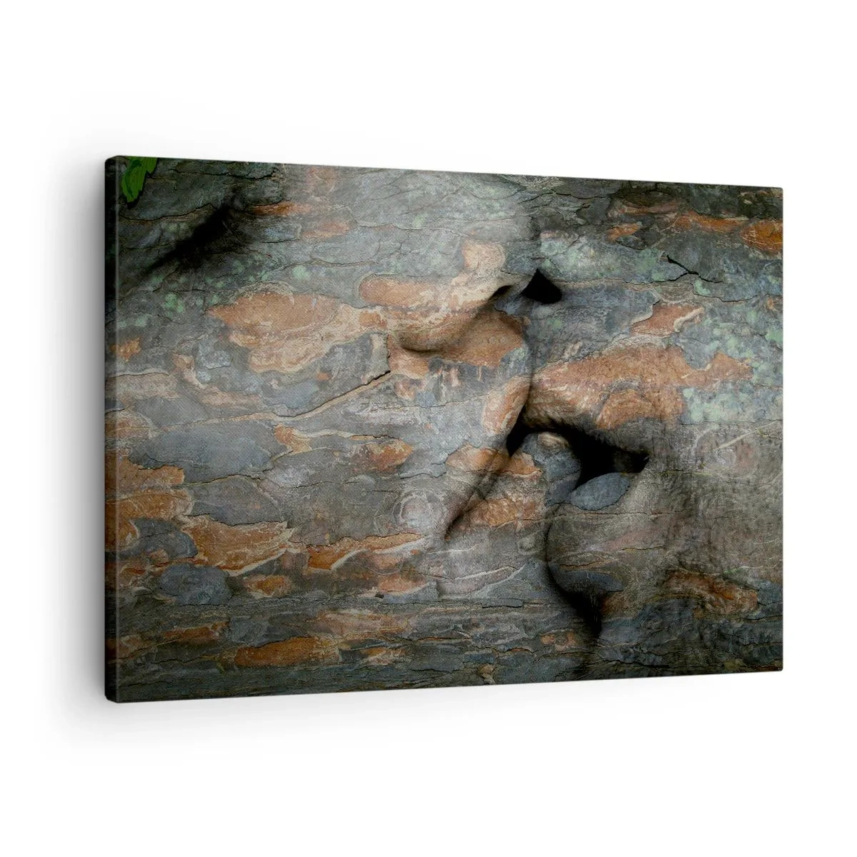Obraz na plátně - Umělecký motiv obličeje vytesaného do skály s efektem přirozené textury. - 70x50cm - Navždy spolu - Moderní nástěnná dekorace do obývacího pokoje a ložnice ARTTOR
