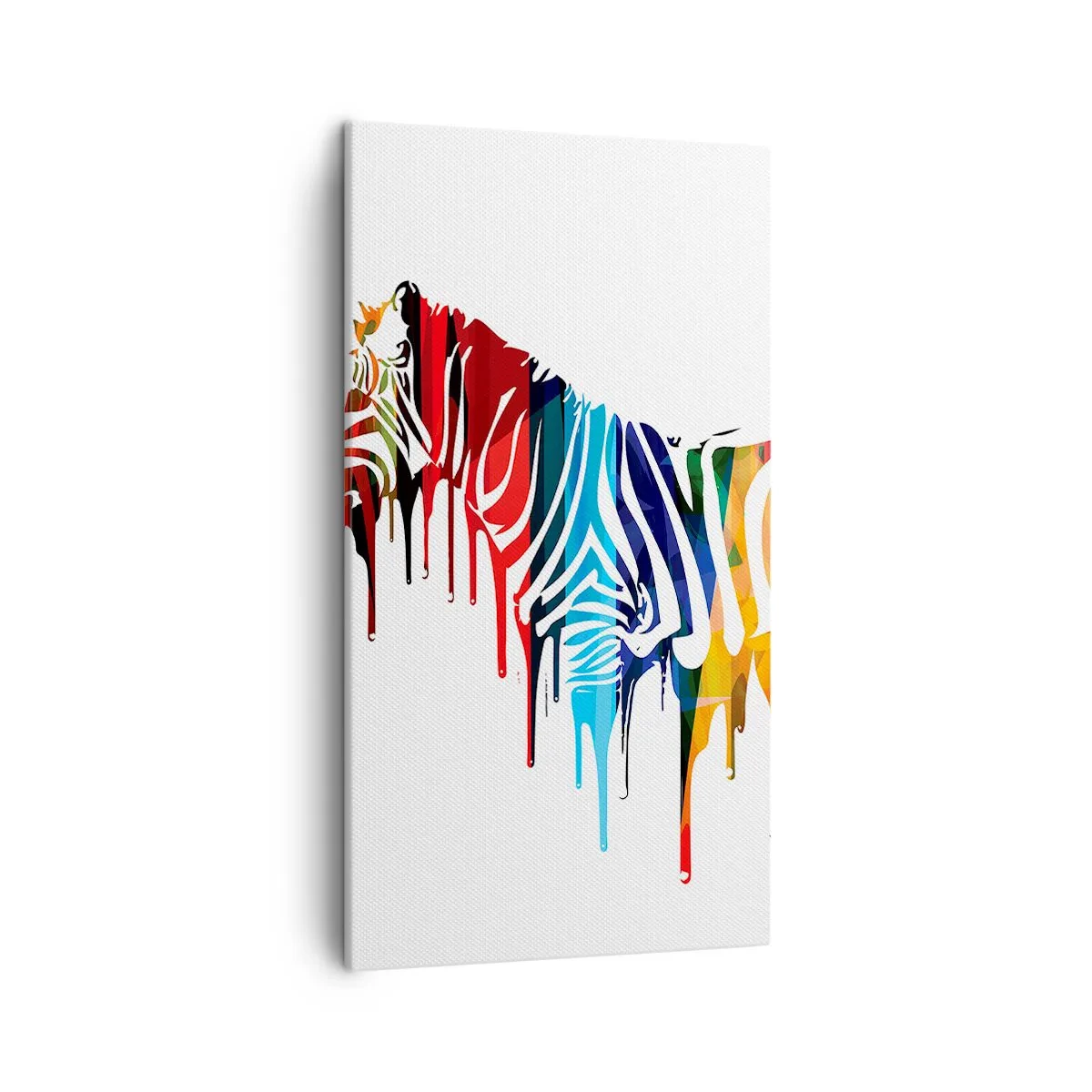 Obraz na plátně - Nejenom černo-bílý - 45x80 cm