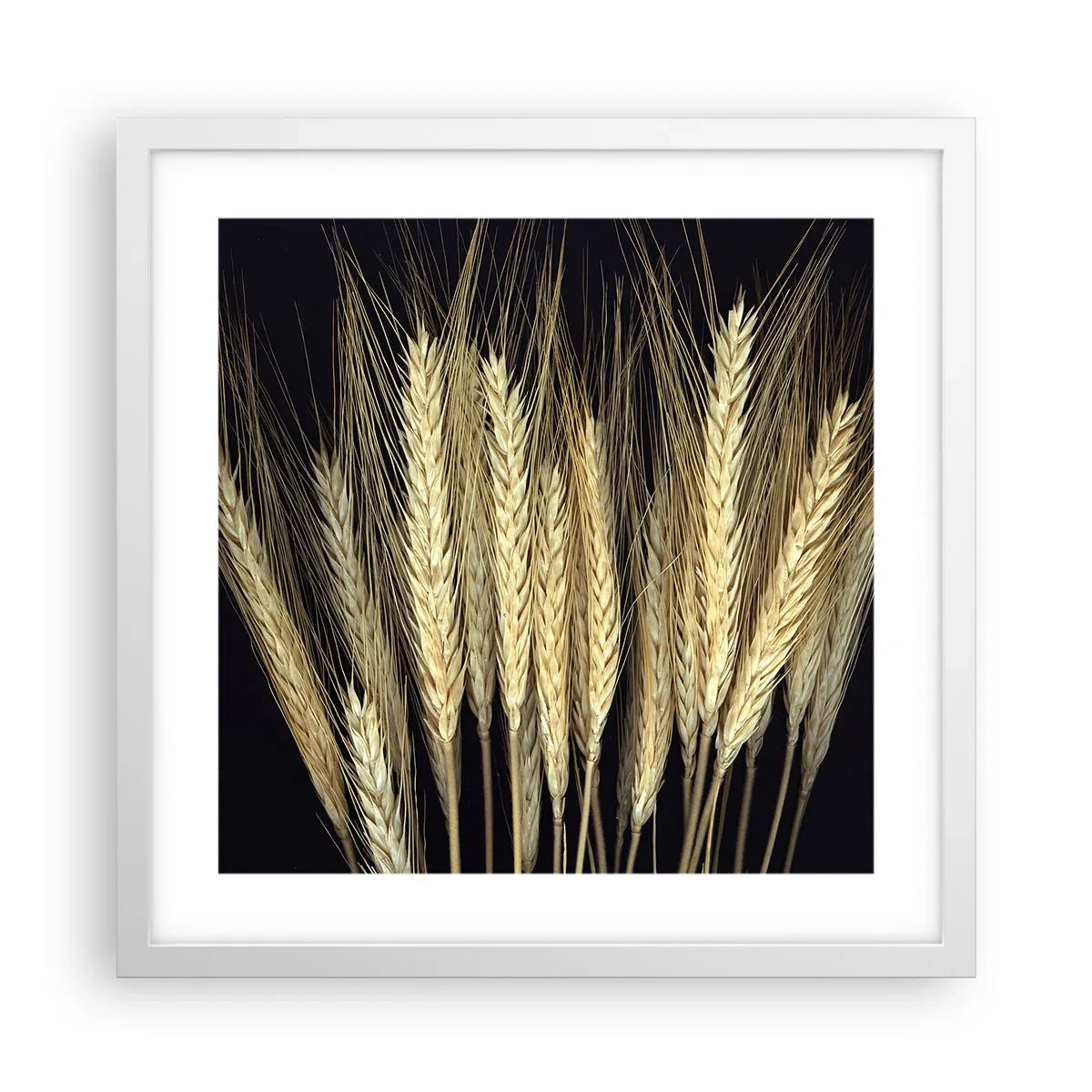 Plakát v bílém rámu - Rustikální magie - 40x40 cm