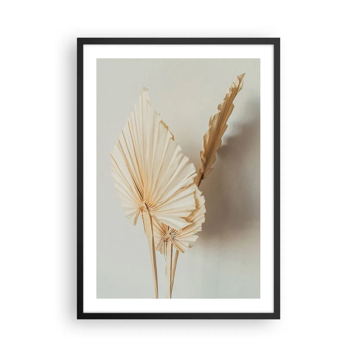 Plakát v černém rámu - Sušené palmové listy v minimalistickém aranžmá na světlém pozadí - 50x70cm - Když potřebuješ útěchu - Moderní nástěnná dekorace do obývacího pokoje a ložnice ARTTOR