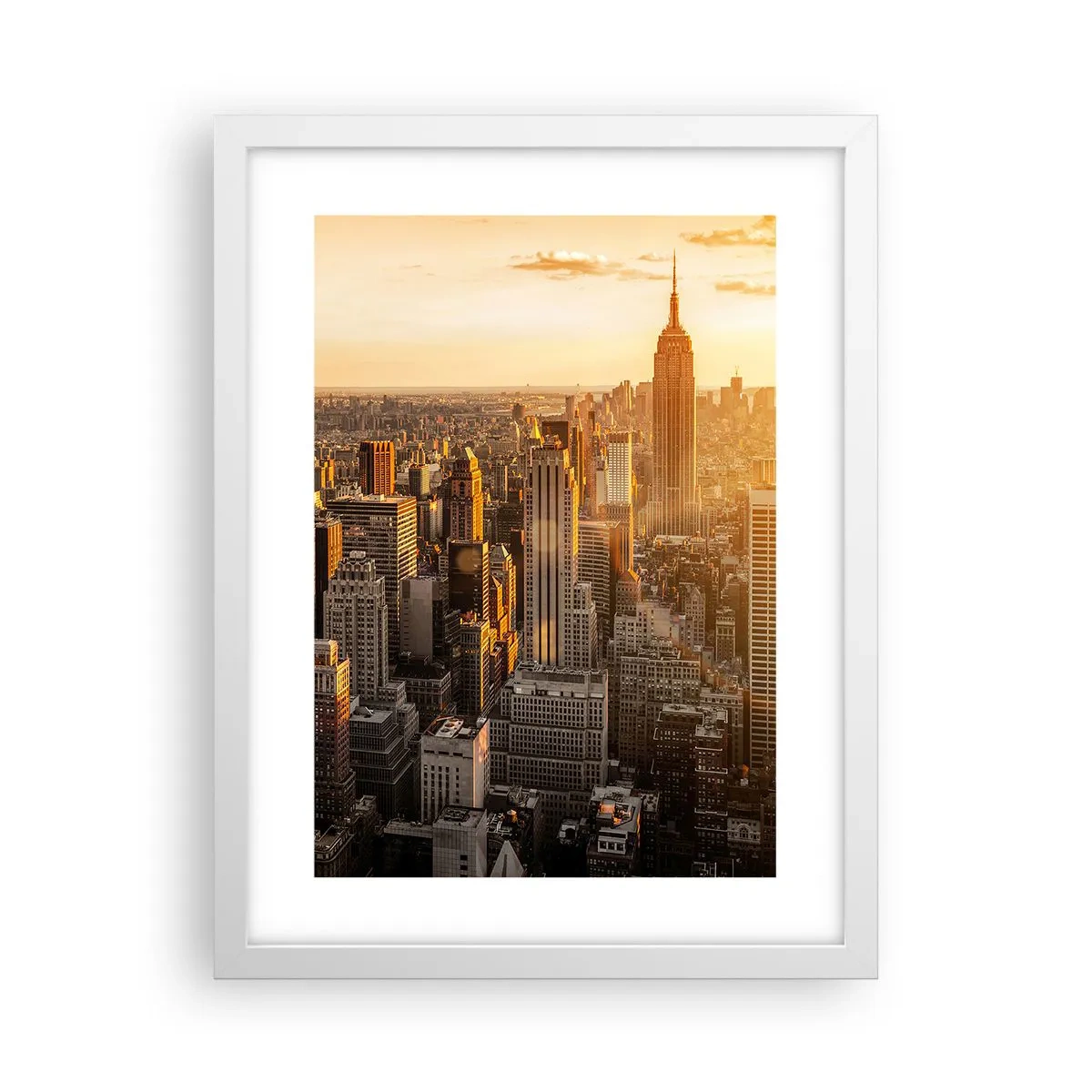 Plakát v bílém rámu - Růst na slunci - 30x40 cm