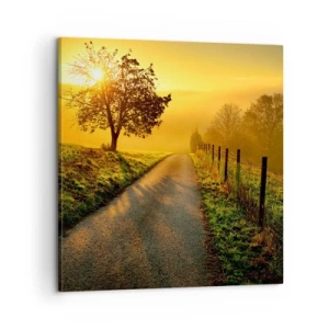 Obraz na plátně - Medové odpoledne - 60x60 cm