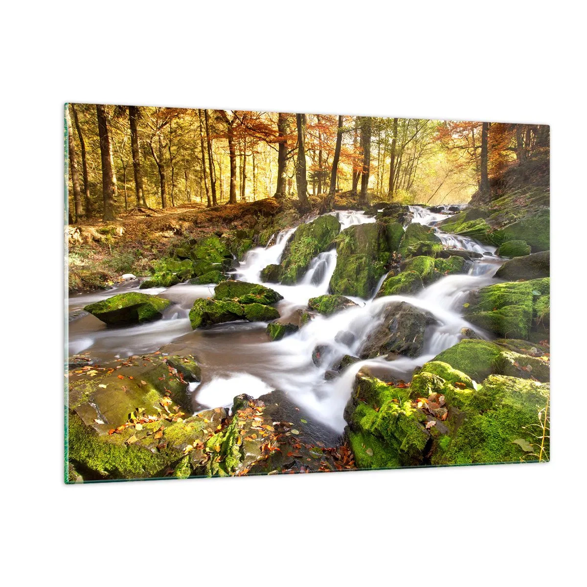 Obraz na skle - Chvatem podzimním lesem - 120x80 cm