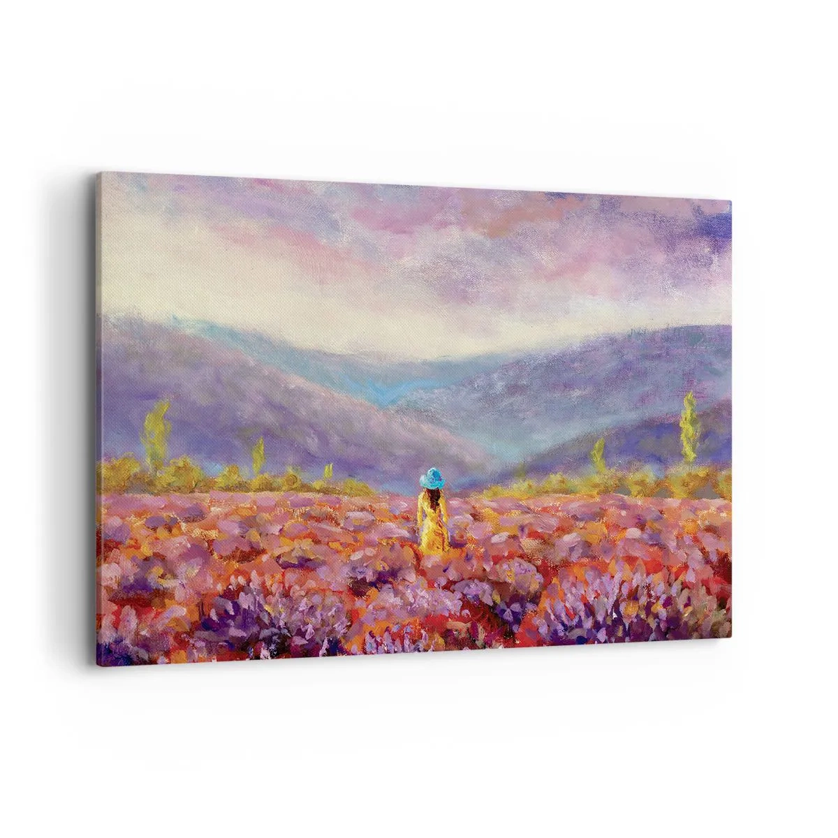 Obraz na plátně - V levandulovém světě - 120x80 cm