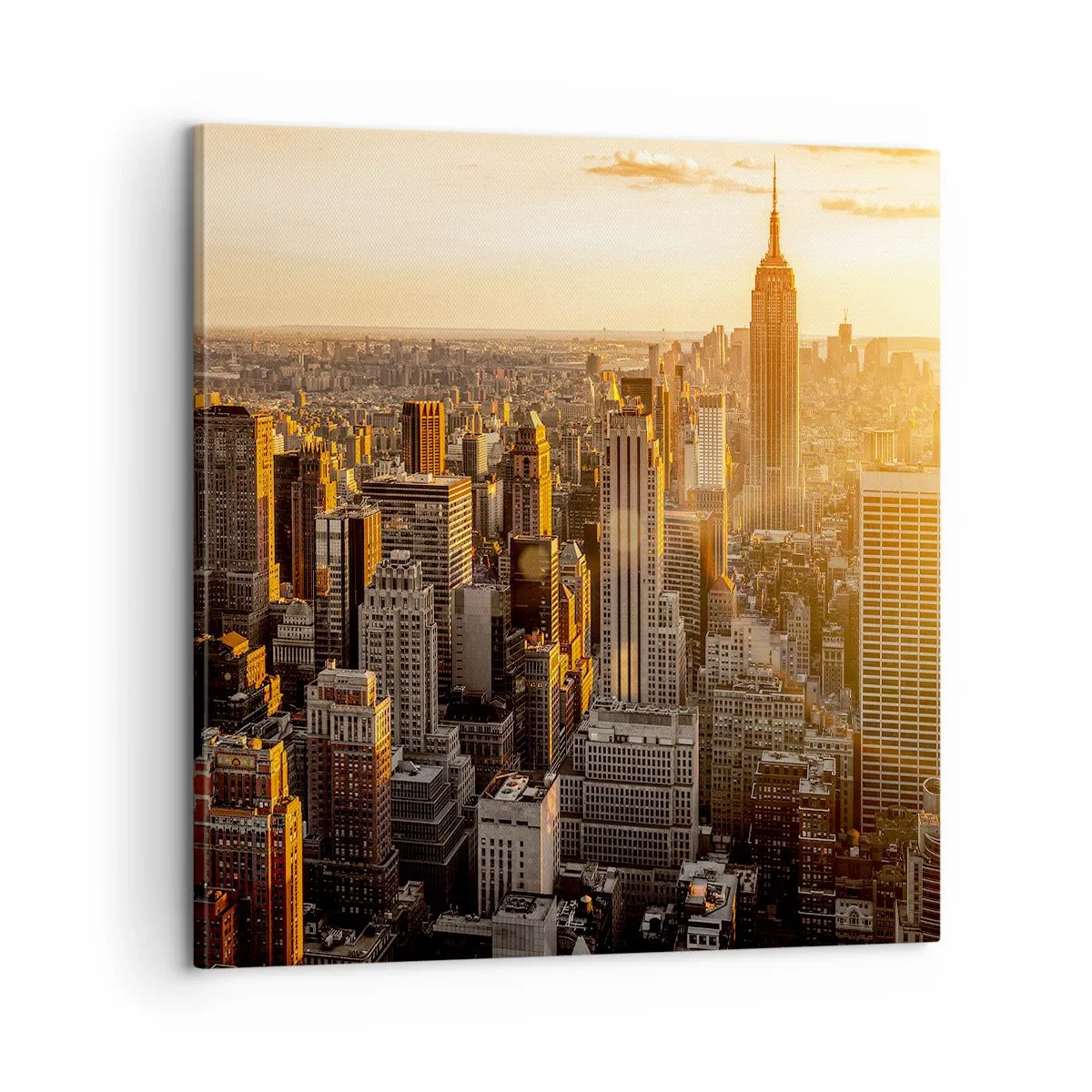 Obraz na plátně - Růst na slunci - 60x60 cm