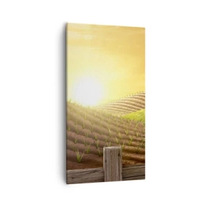 Obraz na plátně - Farma jako z pohádky - 55x100 cm