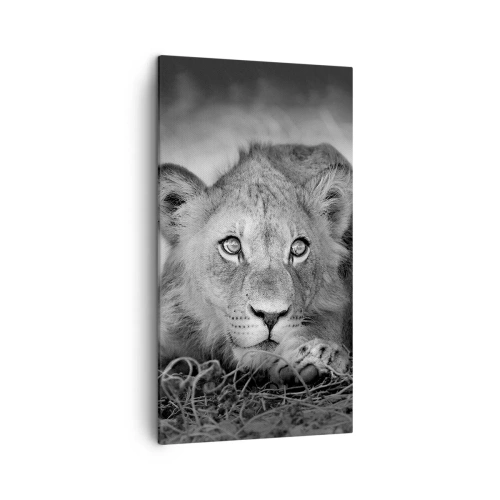 Obraz na plátně - Královské štěně - 45x80 cm