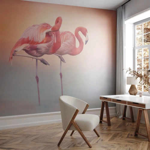 Fototapeta Standard Eco - V barvě zapadajícího slunce - Plameňáci, Ptactvo, Příroda - 350x256 cm