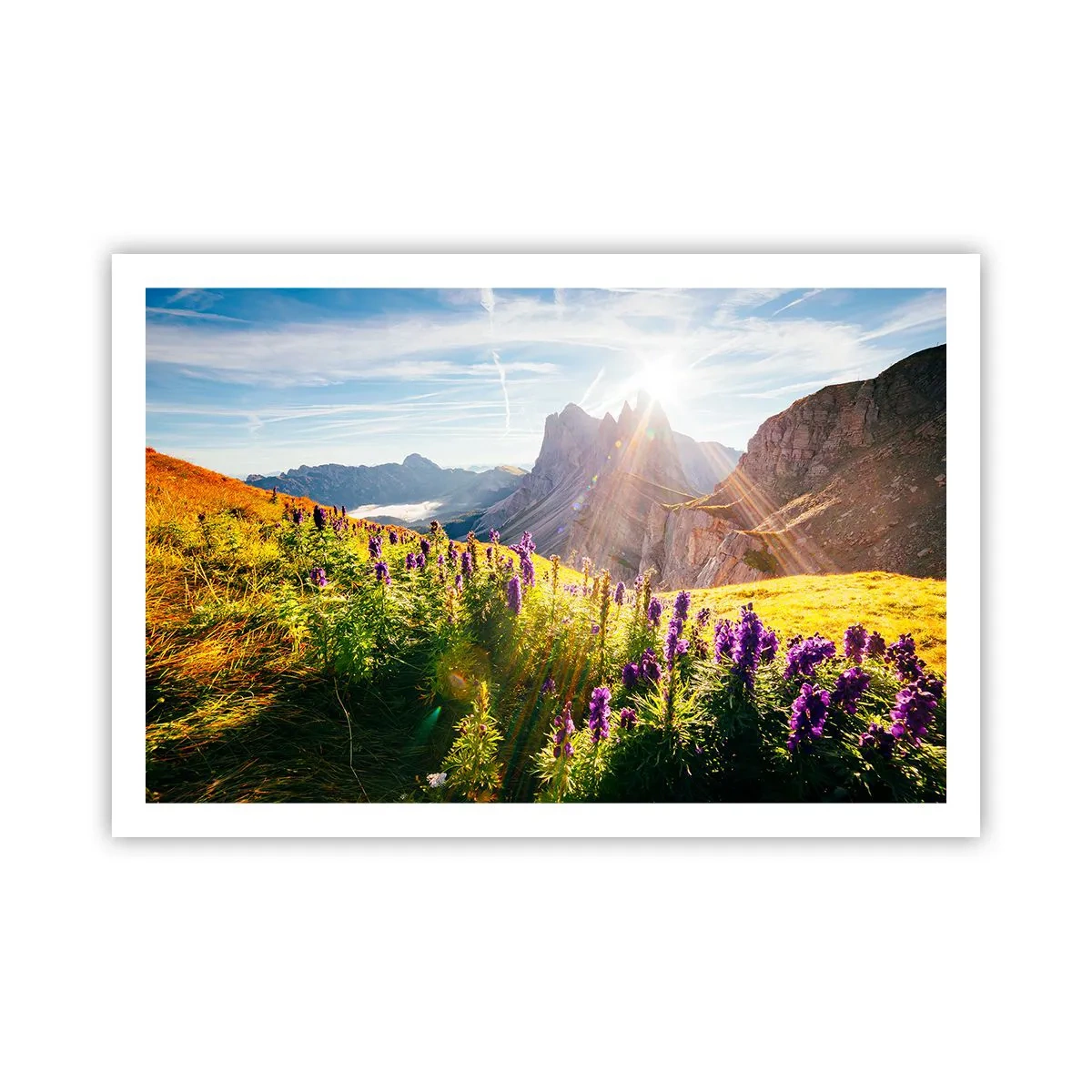 Plakát - Tajemný život bylin - 91x61 cm