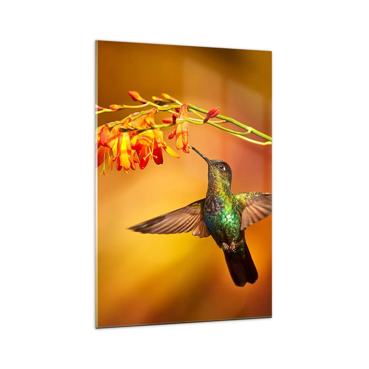 Obraz na skle - Posel světla podle Májů - 70x100 cm