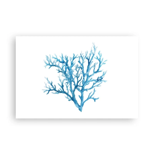 Plakát - Mořský filigrán - 91x61 cm