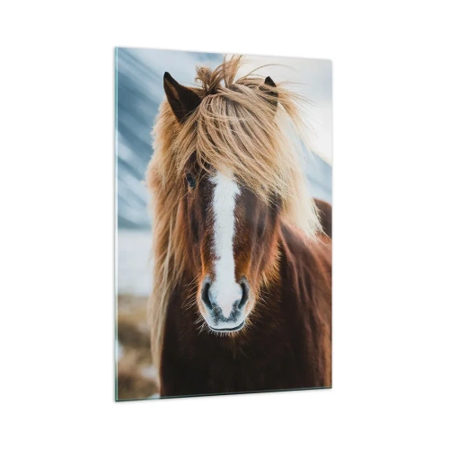 Obraz na skle - Cítíš svobodu? - 70x100 cm