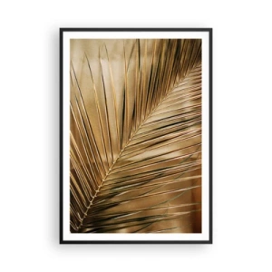 Plakát v černém rámu - Přírodní kolonáda - 70x100 cm