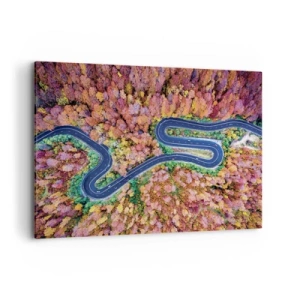 Obraz na plátně - Klikatá cesta lesem - 100x70 cm