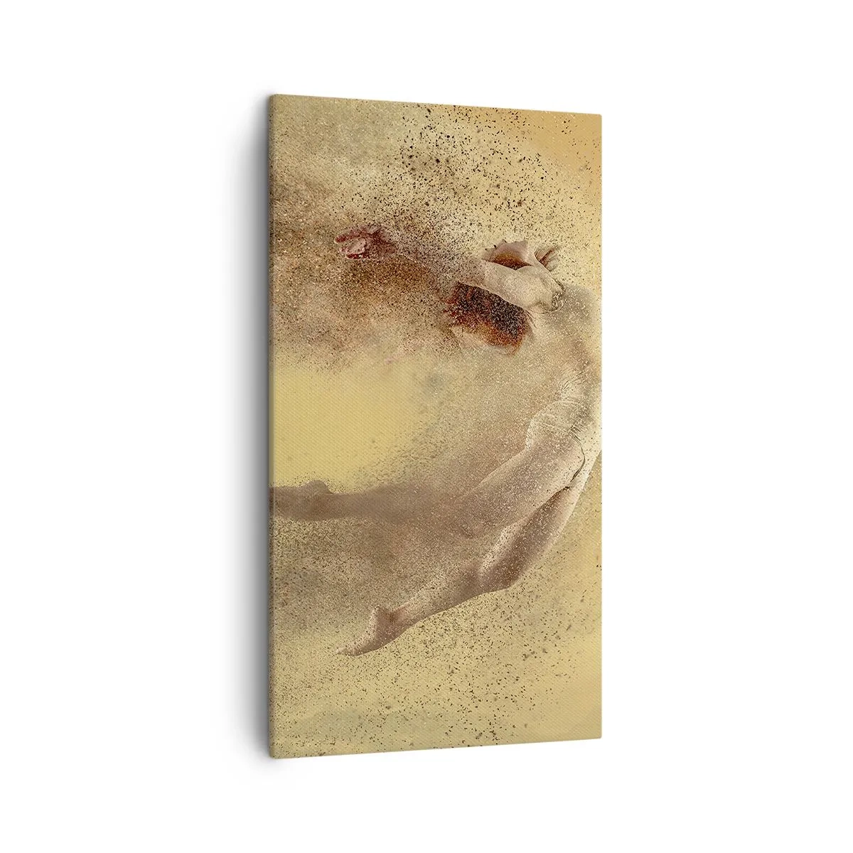 Obraz na plátně - V tanečním vytržení - 45x80 cm