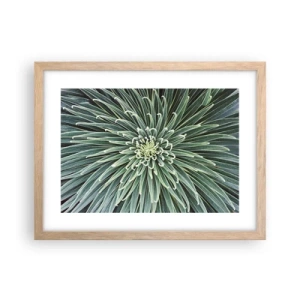 Plakát v rámu světlý dub - Zrození hvězdy - 40x30 cm