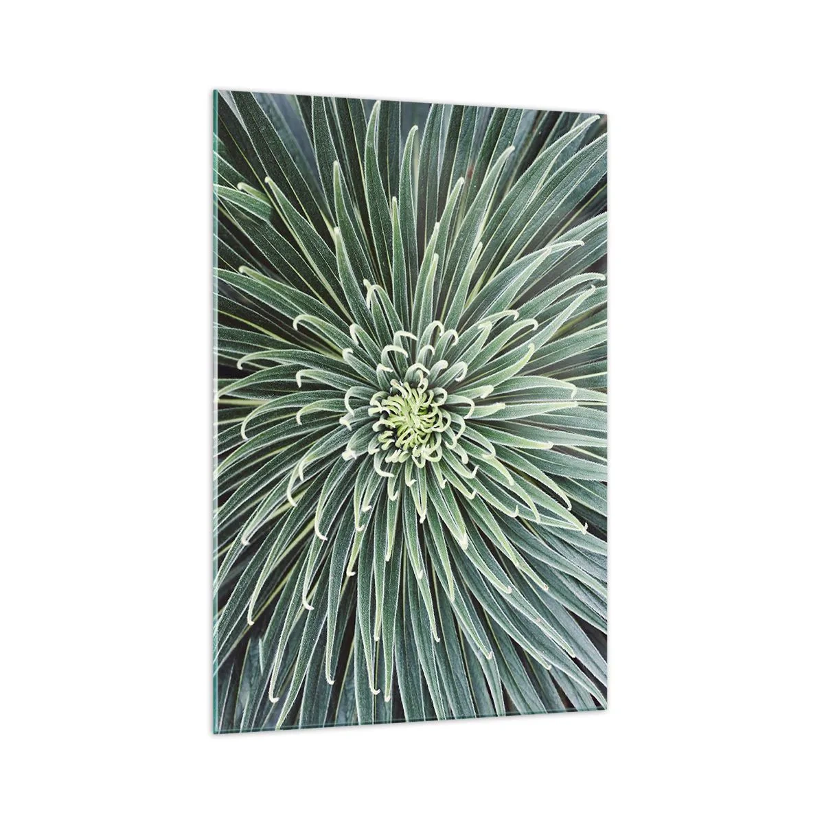 Obraz na skle - Zrození hvězdy - 70x100 cm