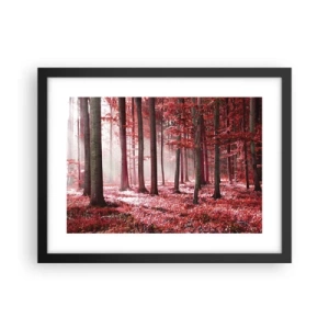 Plakát v černém rámu - Červená je stejně krásná - 40x30 cm